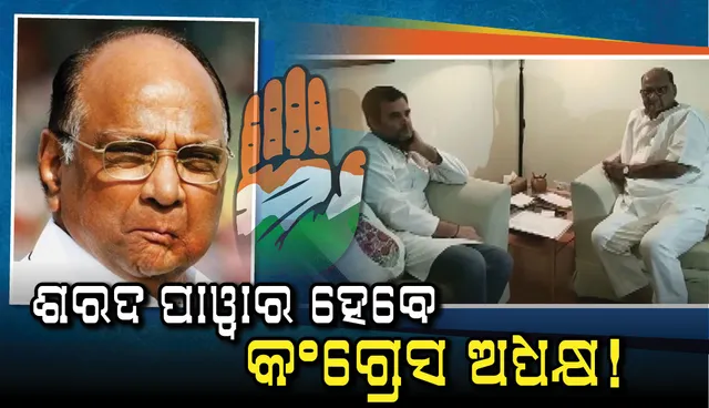 ପାଓ୍ଵାରଙ୍କୁ ଭେଟିଲେ ରାହୁଲ: କଂଗ୍ରେସ-ଏନ୍‌ସିପି ମିଶ୍ରଣ ନେଇ ଆଲୋଚନା, ପାଓ୍ଵାର ହୋଇପାରନ୍ତି ନୂତନ କଂଗ୍ରେସ ଅଧ୍ୟକ୍ଷ !