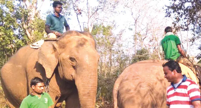 ଶୋଭା-ବବ୍‌ଲୁ ଯୋଡ଼ିର ନିଆରା କାହାଣୀ: ଶିମିଳିପାଳ ସୁରକ୍ଷାରେ ମୁଖ୍ୟ ଅସ୍ତ୍ର ହେବ ବବ୍‌ଲୁ