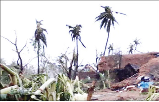 ମହଙ୍ଗା ହେବ ପଇଡ଼