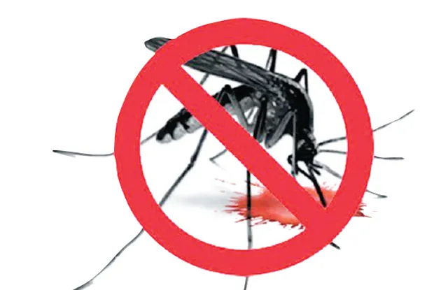 ଜାତୀୟ ଡେଙ୍ଗୁ ଦିବସ: ଅଧିକ ୫୬ଲକ୍ଷ ଔଷଧୀୟ ମଶାରି ଦିଅ