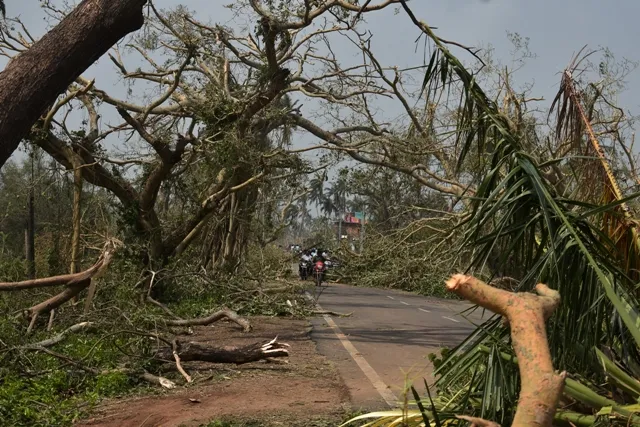 ‘ଫନି’ ରେ ପ୍ରଭାବିତ ୧୧ ଜିଲ୍ଲା, ପୁରୀ ଜିଲ୍ଲାରେ ୧୬୦, ଭୁବନେଶ୍ବରରେ ୩ ଆହତ: ଏସଆରସି