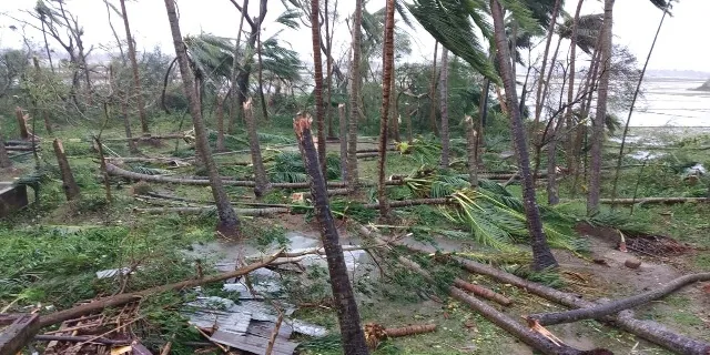 ଫନି ବିପନ୍ନଙ୍କ ପାଇଁ ଜେଏନୟୁ ଓଡ଼ିଆ ଛାତ୍ରଛାତ୍ରୀଙ୍କ ସହାୟତା, ସଂଗ୍ରହ କଲେ ୬୦ ହଜାର ଟଙ୍କା