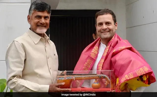 ମିଶନ ମେଣ୍ଟପାଇଁ ଚନ୍ଦ୍ରବାବୁ ନାଇଡ଼ୁଙ୍କ ପ୍ରୟାସ, ରାହୁଲଙ୍କୁ ଭେଟିଲେ ଆନ୍ଧ୍ର ପ୍ରଦେଶର ମୁଖ୍ୟମନ୍ତ୍ରୀ 