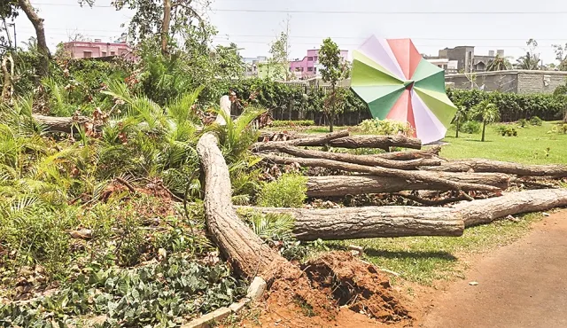 ବାତ୍ୟା ‘ଫନି’ ପରେ ୫ ଜିଲ୍ଲାର ସଫାଇ କାମରେ ଲାଗିଛନ୍ତି ୫୪୪ ଟିମ୍‌, ଭୁବନେଶ୍ୱରରେ ୨୩୭