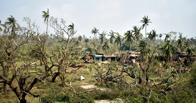 ବାତ୍ୟା ‘ଫନି’ରେ ୪୧ ଲକ୍ଷ କୁକୁଡା, ୨୫୭ ଗୋରୁ ମୃତ