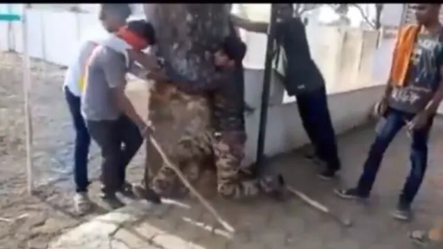 ତିନି ମୁସଲମାନଙ୍କୁ ପିଟି ‘ଜୟ ଶ୍ରୀରାମ’ ସ୍ଲୋଗାନ୍‌ କୁହାଇଲେ ଗୋରକ୍ଷକ