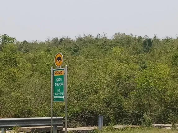 ବିସ୍ଥାପିତ ହେବ ଚନ୍ଦକା ଅଭୟାରଣ୍ୟର ପାଞ୍ଚପଡ଼ା