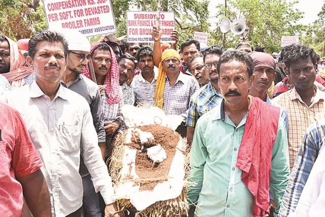 କୁକୁଡ଼ା ଚାଷୀଙ୍କ ବିକ୍ଷୋଭ