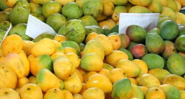 ରାଜ୍ୟସ୍ତରୀୟ ‘ଆମ୍ବ ମହୋତ୍ସବ’ ଜୁନ୍‌ ୧ରେ