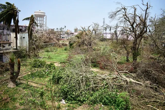 ଔଷଧ ଉଦ୍ୟାନ ଧ୍ବଂସ