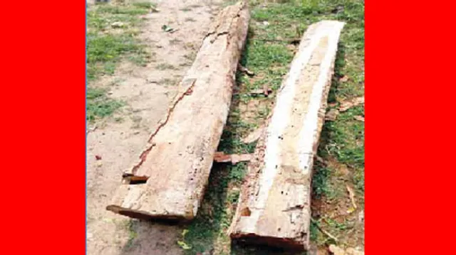 ବନ ବିଭାଗ ଦ୍ବାରା କାଠ ଜବତ