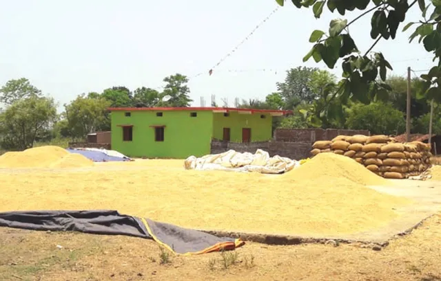 କଳାହାଣ୍ତିରେ ଧାନ କିଣା ବିଳମ୍ବ, ଛତିଶଗଡ଼କୁ ଚୋରା ଚାଲାଣ ଆରମ୍ଭ