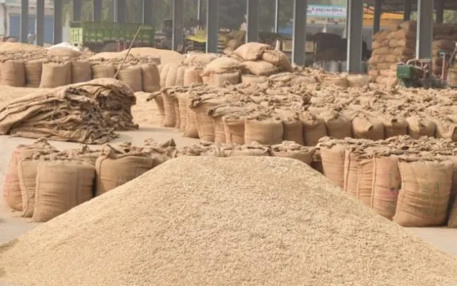 ନୂଆ କୃଷି ଆଇନ : ପ୍ରଫେସର ଗୁଲାଟୀ ବୁଝିବାରେ ଭୁଲ କଲେ କେଉଁଠି?