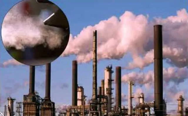 ଗ୍ରାଜୁଏସନ ପାଠ୍ୟକ୍ରମରେ ପରିବେଶ ବିଜ୍ଞାନ ବାଧ୍ୟତାମୂଳକ