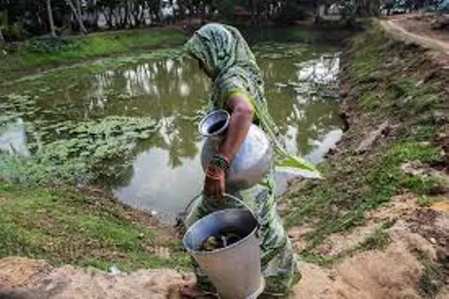 ୫ ବ୍ଲକ୍‌ରେ ହଜାରେ ପୋଖରୀର ବିଶୋଧନ ଆରମ୍ଭ