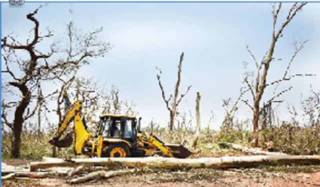 ବାଲୁଖଣ୍ଡ ଅଭୟାରଣ୍ୟ ସଫା