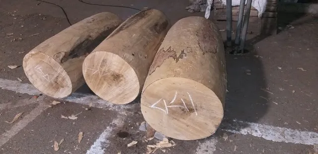 ରଥଖଳା ଚଳଚ‌ଞ୍ଚଳ, ଚାଲିଛି ତୁମ୍ବ ନିର୍ମାଣ