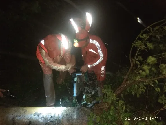 ଫନି ପ୍ରଳୟ : ପୁରୀ ଓ ଭୁବନେଶ୍ବର ସର୍ବାଧିକ କ୍ଷତିଗ୍ରସ୍ତ; ଆରମ୍ଭ ହୋଇଯାଇଛି ରାସ୍ତା ପରିଷ୍କାର ଅଭିଯାନ