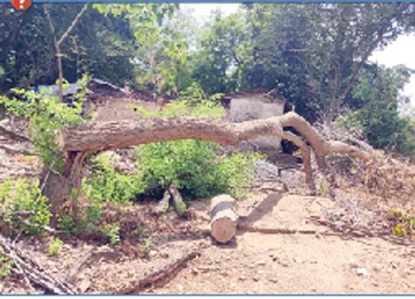 ହୀରାକୁଦ ବିସ୍ଥା‌ପିତଙ୍କ ଥଇଥାନକୁ ନେଇ ନୂଆ ବିବାଦ