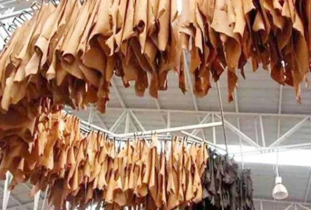 କାନପୁର: ଖୋଲିପାରୁନି ଚମଡା ଶିଳ୍ପ, ରୋଜଗାର ହରାଉଛନ୍ତି ଶ୍ରମିକ