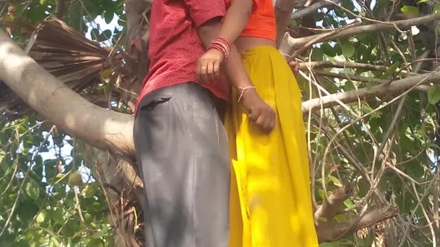 ଅବୈଧ ସମ୍ପର୍କ: ବରଗଛରେ ଫାଶୀ ଲଗାଇ ଆତ୍ମହତ୍ୟା କଲେ ଶଳାଭାଉଜ ଓ ନଣନ୍ଦେଇ