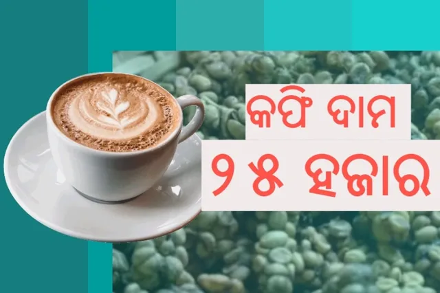 ବିଲେଇ ମଳରେ ଦାମୀ କଫି, ମୂଲ୍ୟ ୨୫ ହଜାର ଟଙ୍କା 