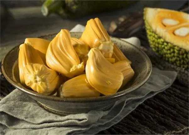 ଥାଇରଏଡ୍‌କୁ ନିୟନ୍ତ୍ରଣରେ ରଖିଥାଏ ପଣସ, କର୍କଟ ରୋଗକୁ ମଧ୍ୟ କରିଥାଏ ଦୂର