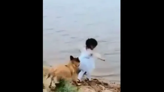 ଗଭୀର ପାଣିକୁ ଯାଉଥିବା ବେଳେ ଛୋଟ ଝିଅର ଜୀବନ ଏଭଳି ବଞ୍ଚାଇଲା କୁକୁର, ଭାଇରାଲ ହେଲା ଭିଡିଓ...