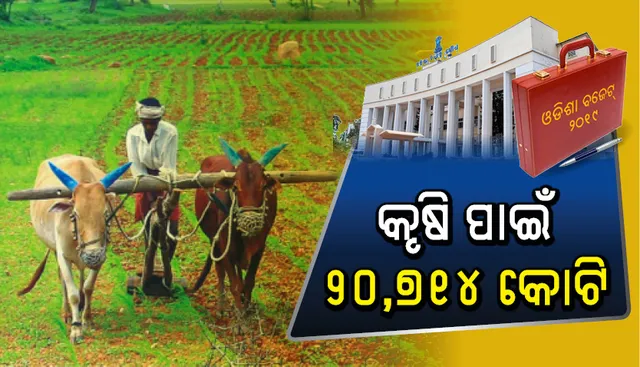 ରାଜ୍ୟ ବଜେଟ ୨୦୧୯-୨୦ : କୃଷି ପାଇଁ ୨୦,୭୧୪ କୋଟି ଟଙ୍କାର ବ୍ୟୟ ବରାଦ, କାଳିଆ ଯୋଜନା ପାଇଁ ୫୬୧୧ କୋଟି