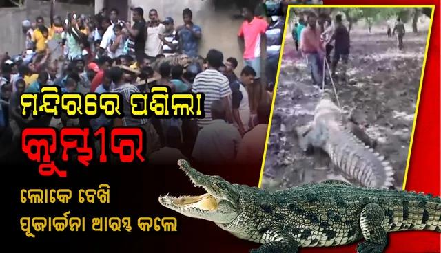 ମନ୍ଦିରରେ ପଶିଲା କୁମ୍ଭୀର, ଶୁଭ ଲକ୍ଷଣ କହି ଲୋକେ ପୂଜାର୍ଚ୍ଚନା କରିବାରୁ ଉଦ୍ଧାର ଅଭିଯାନ ବିଳମ୍ବ