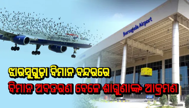 ଝାରସୁଗୁଡ଼ା ଏୟାରପୋର୍ଟରେ ଶାଗୁଣା ଆତଙ୍କ, ଅଳ୍ପକେ ବର୍ତ୍ତିଲା ବିମାନ