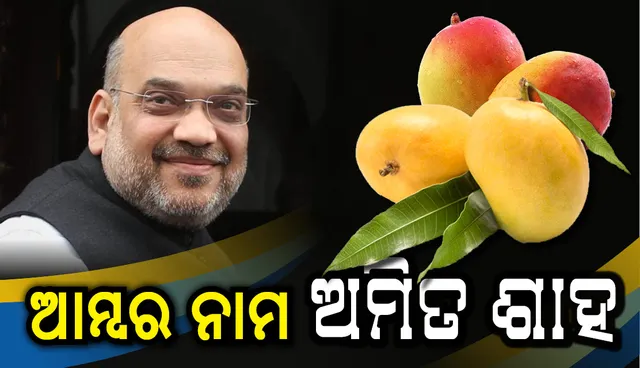 ଅମିତ ଶାହଙ୍କ ନାମରେ ଆମ୍ବ