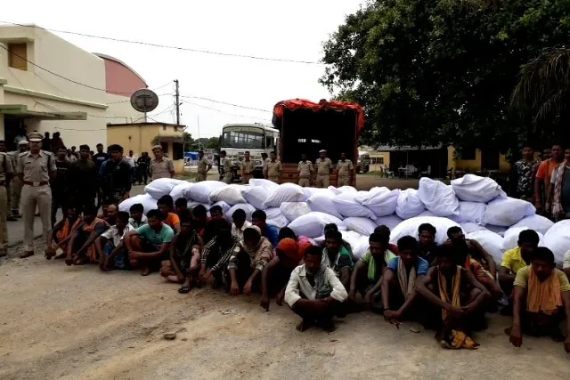 ଗଞ୍ଜେଇ ମାଫିଆଙ୍କ ଭୂସ୍ବର୍ଗ ଅବିଭକ୍ତ ‌କୋରାପୁଟ : ୫ କୋଟି ଟଙ୍କାର ଗଞ୍ଜେଇ ଜବତ, ୪୯ ଗିରଫ