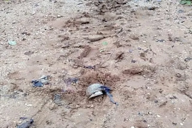 ବଜ୍ରପାତରେ ୫୦ରୁ ଊର୍ଦ୍ଧ୍ବ ଲ୍ୟାଣ୍ଡମାଇନ ବିସ୍ଫୋରଣ