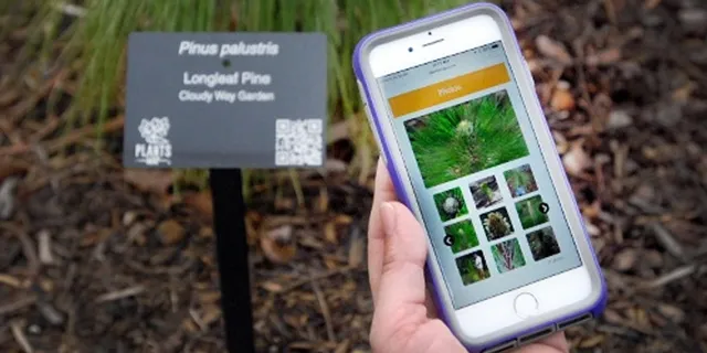 ବଗିଚା ହେଲା ଡିଜିଟାଲ, କେରଳ ସରକାରଙ୍କ ଭିନ୍ନ ପ୍ରୟାସ