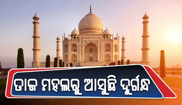 ସଫେଇ କର୍ମଚାରୀଙ୍କ  କାମ ବନ୍ଦ ଯୋଗୁଁ ଉଠି ପାରୁନି ଅଳିଆ: ତାଜମହଲ ପରିସରରୁ ଆସୁଛି ଦୁର୍ଗନ୍ଧ