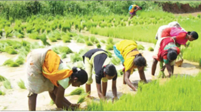 ପଶୁ ସମ୍ପଦ, ମତ୍ସ୍ୟ ଚାଷ ଉପରେ ଧ୍ୟାନ ଦେବାକୁ ପଡ଼ିବ