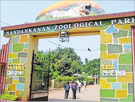 ନନ୍ଦନକାନନ ସଂପ୍ରସାରଣ, ଘୋଷଣାରେ ସୀମିତ...