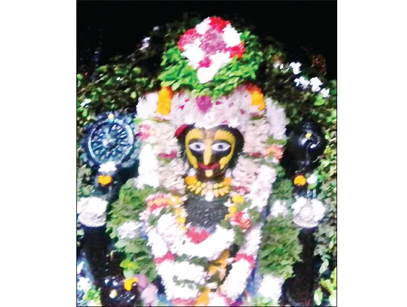 ଶ୍ରୀଅଲାରନାଥଙ୍କ, ଅଣସର ଦର୍ଶନ ଆରମ୍ଭ