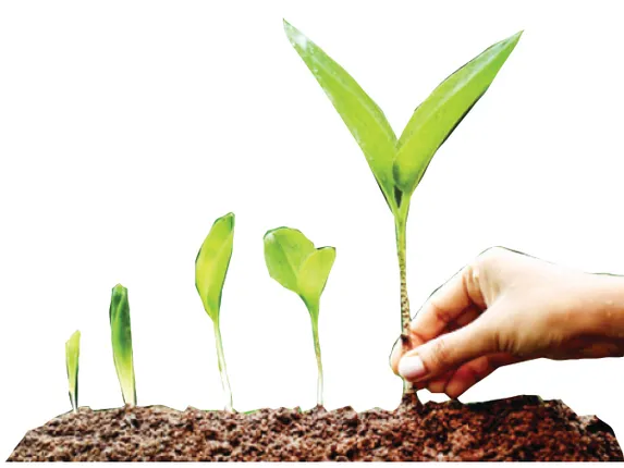 ୬ ସହରକୁ ବାୟୁ ପ୍ରଦୂଷଣ ବିପଦ, ପ୍ରସ୍ତୁତ ହେଲା ଆକ୍ସନ ପ୍ଲାନ୍‌