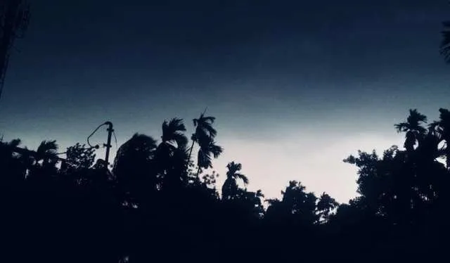 କୋଠ ଘର ଉପରେ ଭାଙ୍ଗିପଡ଼ିଲା ଗଛ ଜଣେ ମୃତ, ୧୦ ଆହତ