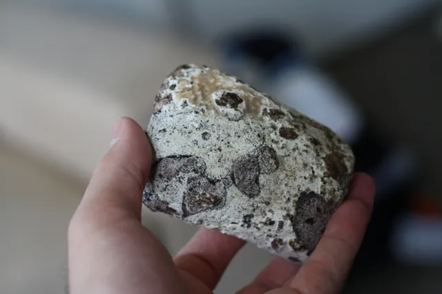 ୧. ୭ କୋଟି ଟଙ୍କା ମୂଲ୍ୟର ତିମି ‘ବାନ୍ତି’ ରଖିଥିବା ଦୁଇଜଣ ବ୍ୟକ୍ତି ଗିରଫ