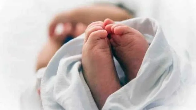 ରାସ୍ତାକଡ଼ରେ ଯମଜ ନବଜାତ ଶିଶୁଙ୍କ ଶବ