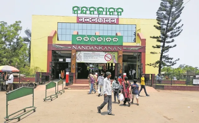 ନନ୍ଦନକାନନରେ ପହିଲି ରଜ ଫିକା