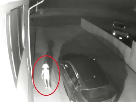 ସିସିଟିଭିରେ କୈଦ ହେଲା ଅଜବ ପ୍ରାଣୀ, ଭିଡିଓ ଓ ଫଟୋ ହେଉଛି ଭାଇରାଲ