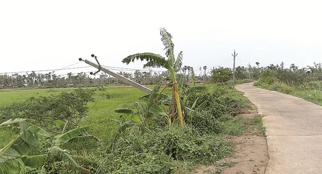 ଅସରାଏ ବର୍ଷାରେ ନଇଁଯାଉଛି ବିଜୁଳି ଖୁଣ୍ଟ : ବର୍ଷା ଧରାଇଦେଲା ନିମ୍ନମାନର କାମ, ୧୧ କେଭି, ଏଲ୍‌ଟି ଖୁଣ୍ଟ ବି ଟଳମଳ, କୋଟି କୋଟି ଟଙ୍କା ପାଣିରେ ପଡ଼ିବ