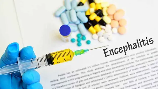 ମୁଜାଫରପୁର: ଜାପାନୀ ଜ୍ୱରରେ ଆକ୍ରାନ୍ତ ହୋଇ ୧୯ ପିଲା ମୃତ; ଡଜନାଧିକ ଡାକ୍ତରଖାନାରେ ଭର୍ତ୍ତି