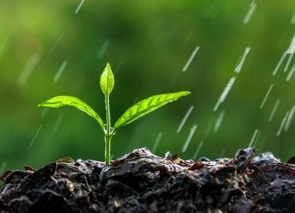 ଖାଉଟିଙ୍କ ପସନ୍ଦ ବଦଳାଇ ଦେଇଛି କରୋନା, ଦରମା ଅପେକ୍ଷା ପରିବେଶ ସୁରକ୍ଷାକୁ ଅଧିକ ଗୁରୁତ୍ବ ଦେଉଛନ୍ତି କର୍ମଚାରୀ