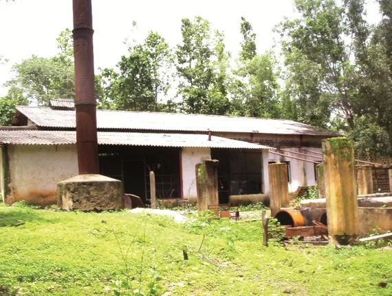 ଚା’ ବଗିଚାରେ ଚରିଲେଣି ଛେଳି : ବିଦେଶକୁ ଚା’ ରପ୍ତାନି ପାଇଁ ସୁନାମ ଅର୍ଜିଥିଲା କେନ୍ଦୁଝରର ତରମାକାନ୍ତ, ୧୫ ବର୍ଷ ହେଲା ବନ୍ଦ ହୋଇ ପଡ଼ିଛି, ପୁନରୁଦ୍ଧାର ପାଇଁ ଆଗ୍ରହ ନାହିଁ