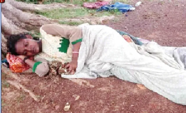 ଗଛ ମୂଳେ ପ୍ରସବ : ଶିଶୁ ମୃତ, ମା’ ଡାକ୍ତରଖାନାରେ